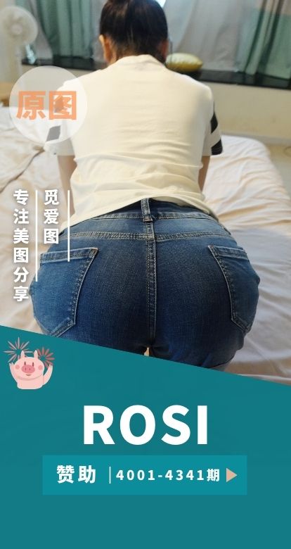 ROSI写真第4001期至4341期写真素材合集[341期][46234P/61.7GB]